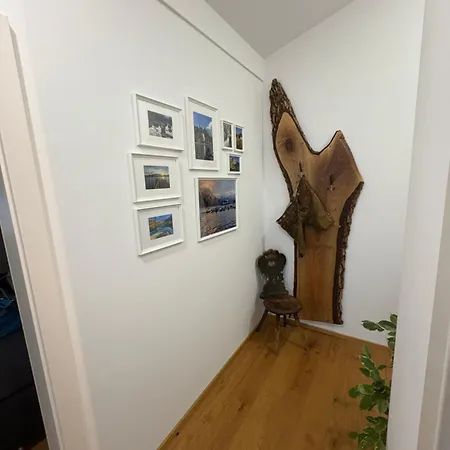Apartment Traunsee 1