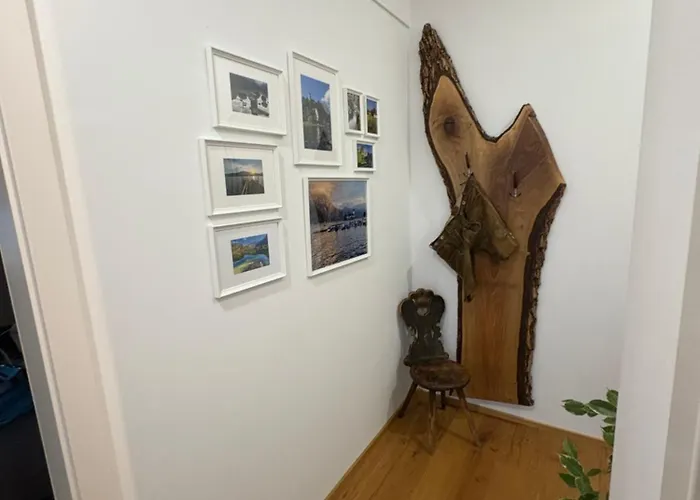 Apartment Traunsee 1