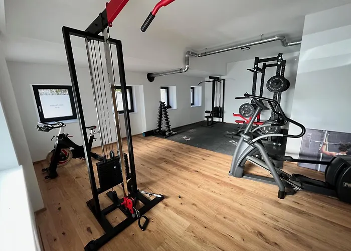 Apartment Traunsee 1 Altmuenster