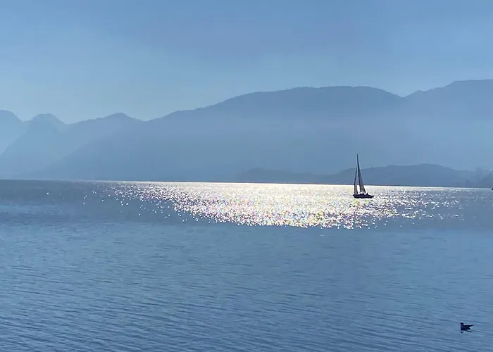 Apartment Traunsee 1 Altmuenster